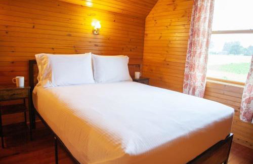 Cabin Otisco Lake Views Fire Pit & Pool Table - Foto 20