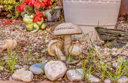 Serra Fuster - Casa Tolleric - Foto 7