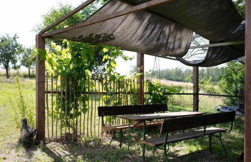 Ferienwohnungen Hof Luisenau - Foto 52