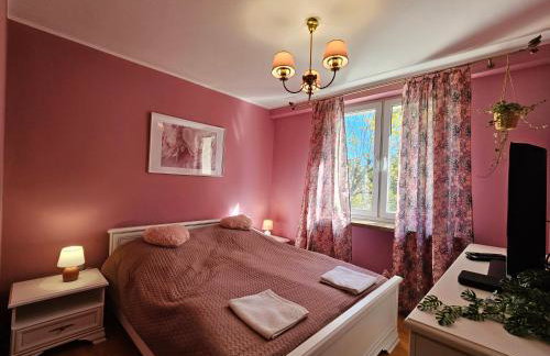 3 pokoje koło Parku przy Żwirki - Photo 2