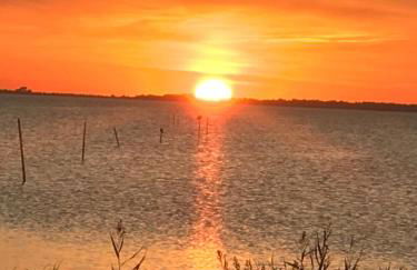Zur Alten Boddenfischerei Ferienwohnung HeideZauber - Foto 23