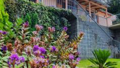 Fantatic Holiday House - Foto 5, Garden view