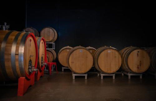 COBUE "Wine resort & Spa" - Foto 15