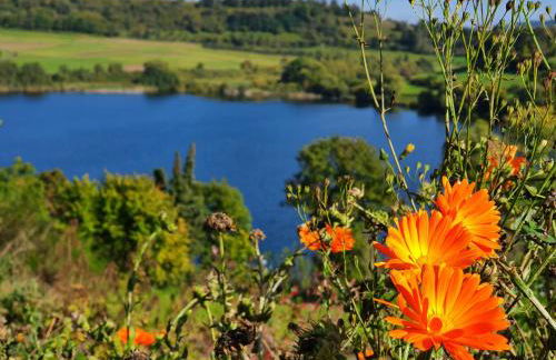 Traumhaus am Maar 2 - Foto 24