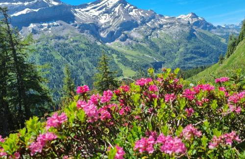 Au Doubs Moment vue exceptionnelle et panoramique - Foto 22