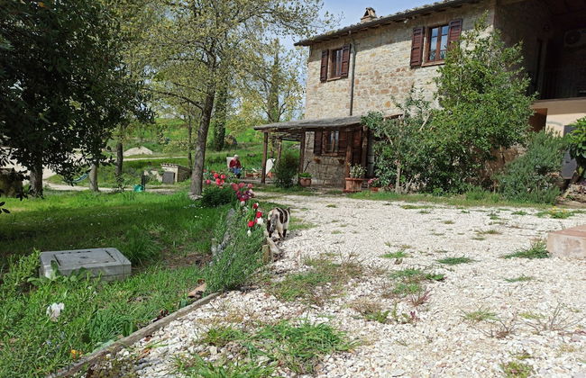 Agriturismo Casa Greppo - Il Noce - Foto 40