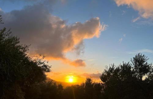 Andalusian Countryside Stay - Foto 27