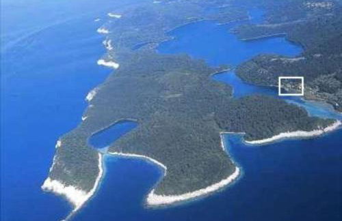 Apartments Soline - National park Mljet - Photo 3