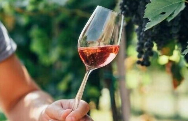 Au Coin des Vins - Foto 54