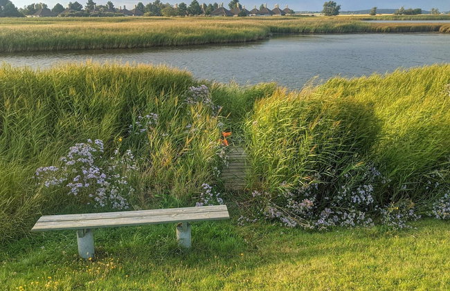 4 Person Holiday Home in Karrebaeksminde - Foto 27