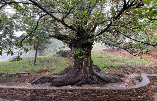 Mevak Home Alpujarra - Foto 28