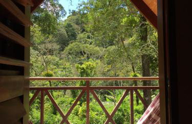 Chalé Suíço - Chalés Belo Monte - Sítio Belo Monte - Foto 24