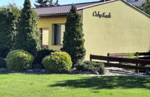 Pensjonat Cichy Kącik - Foto 4