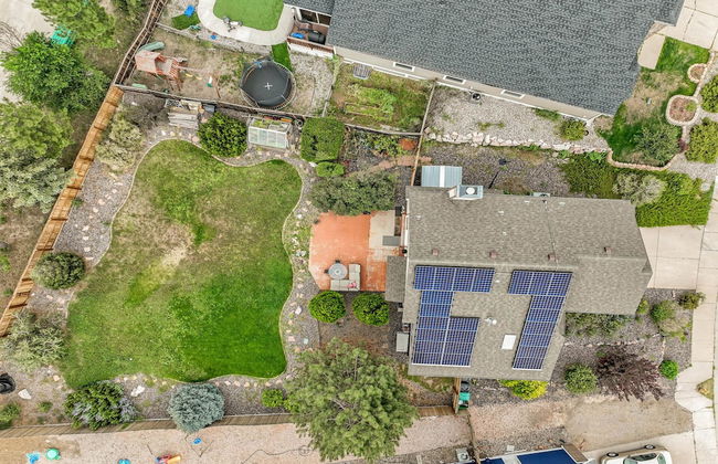 Shirley's Temple - Foto 56