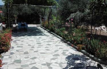 Toulatos Pantelis - Photo 31