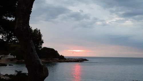 Can Caragol - Foto 3