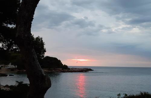 Can Caragol - Photo 3