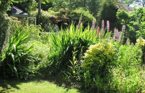 Lower Great Torr - Foto 29