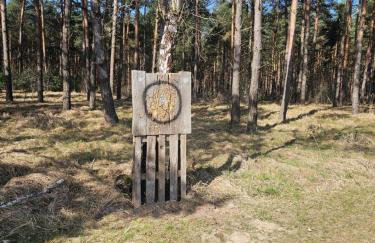 Leśny Zakątek Świączyń Jacuzzi, sauna, ognisko - Foto 17