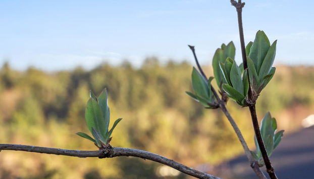 "Jaakob" - 4km from the sea - Foto 3, View