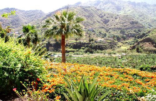 Casa Creativa - Foto 30