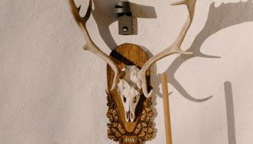 Alpenchalet Reit im Winkl - Foto 4