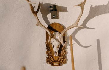 Alpenchalet Reit im Winkl - Foto 4