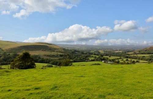 Grove Farm - Foto 71