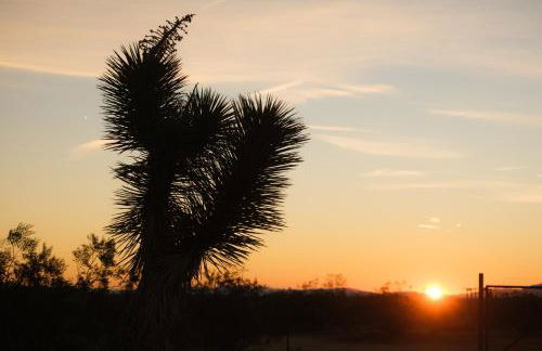 Joshua Tree House of Mercury - Foto 54