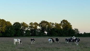 Ferienwohnung Siebenbergen - Foto 5