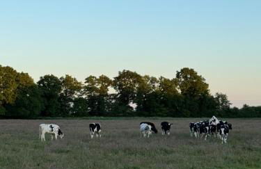 Ferienwohnung Siebenbergen - Foto 5