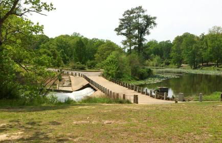 Private, Tranquil Living in Historic RVA Awaits! - Foto 27