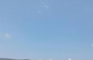 Six Steps From The Forest - Photo 37