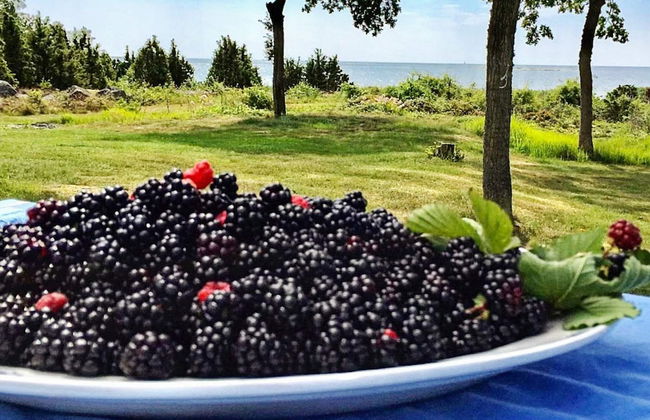 6 Person Holiday Home in Sturko-by Traum - Photo 20