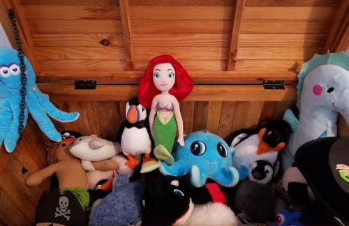 A Bolt Hole by the beach in Northumberland - Foto 12