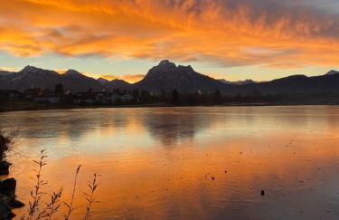 Best Butler Family & Friends mit Hund - Foto 23