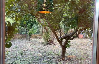 Casa da Nonna Rita - Photo 64