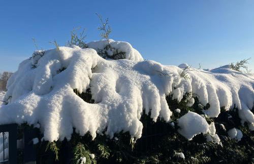 Ferien am Hofe - Foto 27