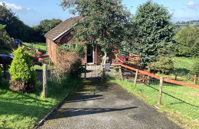 Lovely 2-bed Cottage in Pencarreg - Photo 12