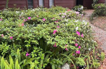 Paz y Tranquilidad a 30 minutos de Orlando - Foto 20