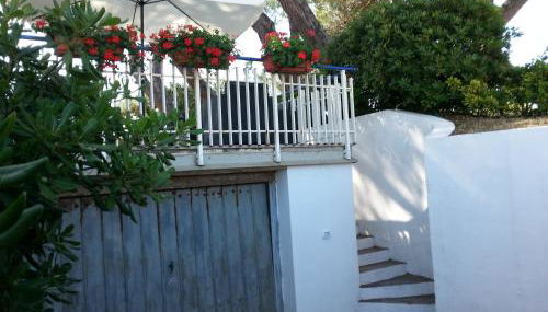 Appartamento in Villa Valentini- Fronte mare, Giardino e Parcheggio privato, WIFI, dotato di tutti i confort, nel Cuore del Golfo di Gaeta - Foto 3, Garden