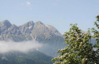 Tiefentalhof - Urlaub am Bauernhof - Photo 10