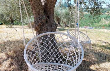 Villa Ferranti Abruzzo - Photo 5