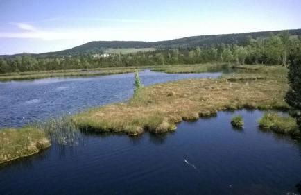 Haus Annemarie - Foto 21