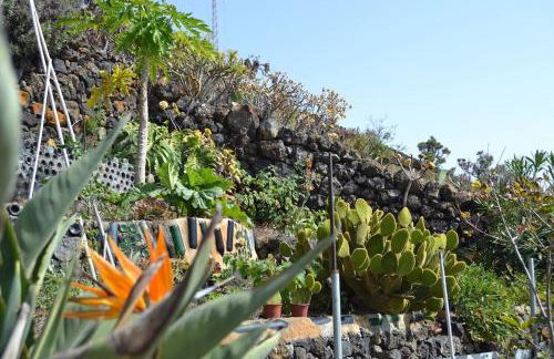 El Quinto Pino 3 habitaciones privadas con cocina y baño compartidos - Foto 12