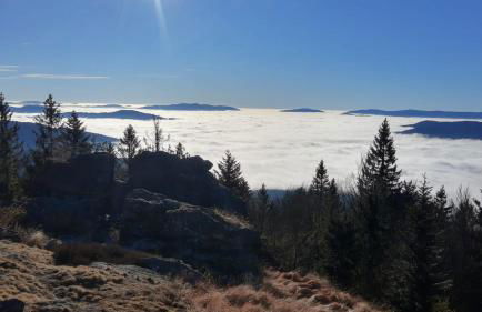 Ferienwohnung Wildgatter - Photo 29