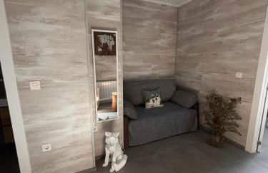 Biznaga Nevada - Foto 7