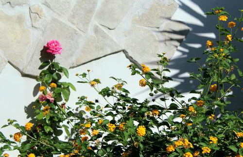 Urban Nest Suite - Foto 49