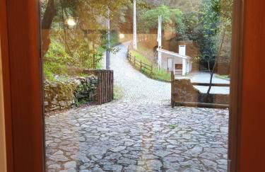 Moinho das fragas - Foto 28