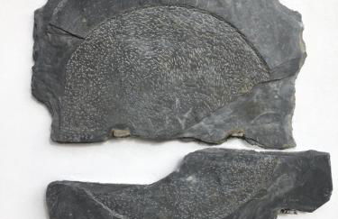 La Casa Vieja de Caneo - APARTAMENTOS RURALES 3 llaves - Foto 17